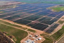 sunraysia solar farm