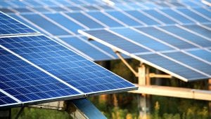 FRV buys 90MW Riverina solar farm, lands PPA with Snowy Hydro