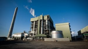 Queensland coal generator’s green hydrogen pivot pays off in Palau export deal