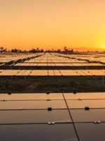 Genex lines up new partner for biggest solar farm as coal giant steps in to fill Fortescue’s hydrogen void