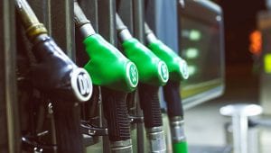 Renewable fuels could soon be cost competitive with petrol, gasoline