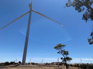 Cherry Tree wind farm delivers first generation to Victorian grid