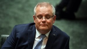 Morrison’s lack of transparency is undermining green recovery, MPs say