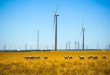 Alinta Wind Farm from Infigen Energy - optimised