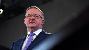 Butler dumped as Labor’s climate opposition collapses at a truly pivotal moment