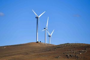 Good vibe? New data shows wind farm complaints tumbled in 2021