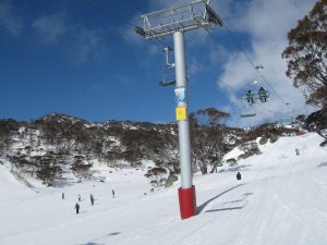 Perisher thought – new ARENA chair said to be skiing buddy of Angus Taylor