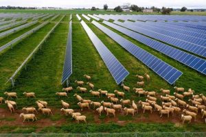 Solar farm and big battery approved for Parkes in NSW