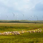 Infigen Energy Lake Bonney Wind farm - optimised