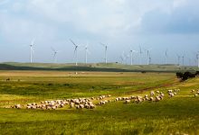 Infigen Energy Lake Bonney Wind farm - optimised