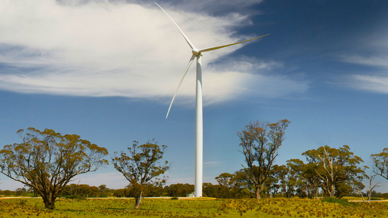 Epuron reboots wind farm rejected by feds to protect koala population - Vimarsana News