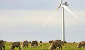 Victoria pushes ahead with 1.5GW network upgrade in windy south-west