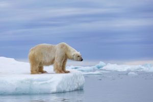 Earth may temporarily pass dangerous 1.5℃ warming limit by 2024