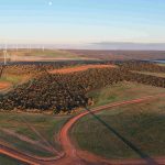 Warradarge wind farm