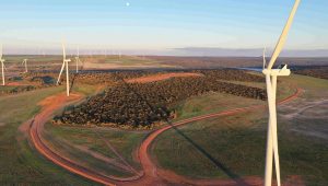 WA’s third-largest wind farm, Warradarge to reach full output by end of October