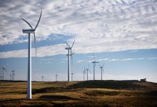 Woolnorth wind farm in Tasmania. Credit: Flickr/Wind Denmark