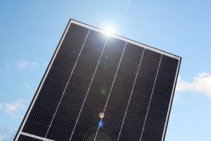 International solar giant Q CELLS enters New Zealand market