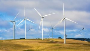 Massive new Victoria wind farm and battery awaits assessment after environmental checks