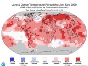 2020 among the top three warmest years on record, along with 2016 and 2019