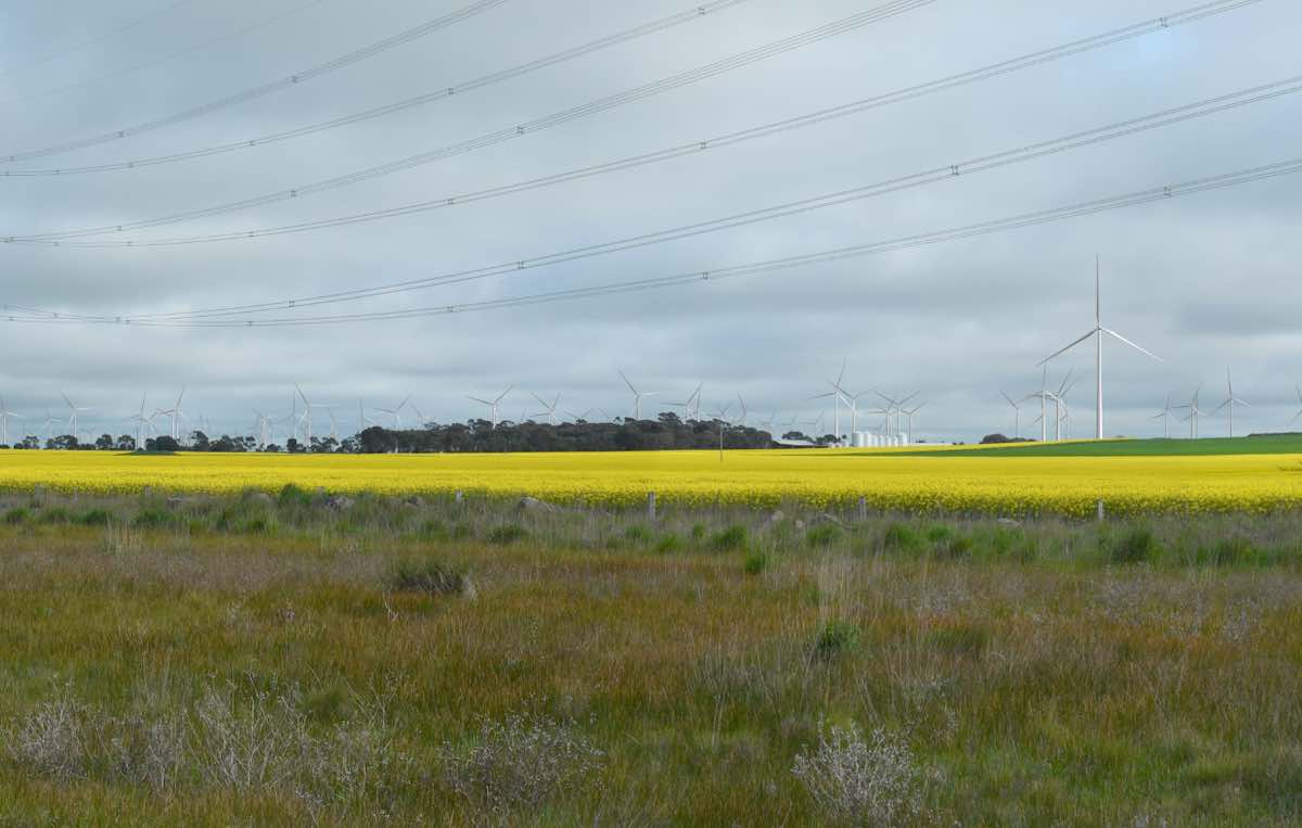 Golden Plains Wind Farm render