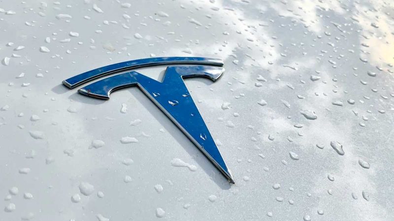 tesla badge