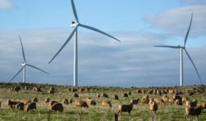 Australia had record renewables year in 2021, but there are clouds on horizon