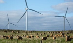 Farmers and communities to reap billions for hosting wind and solar projects, report finds