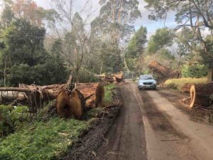 Three weeks without power? That’s the reality for thousands in Victoria – and it will happen again