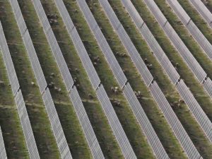 Glenrowan West solar farm completes commissioning in Victoria