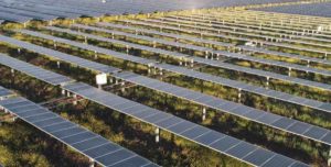 Yarranlea solar farm secures finance with Infradebt, on “merchant” basis