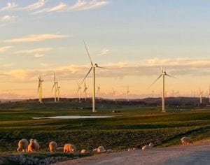 Getting renewables connected is the first step to a zero carbon grid