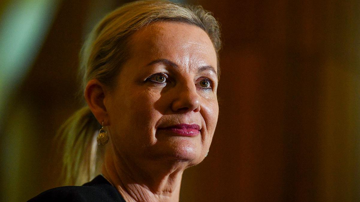 Federal Minister for the Environment Sussan Ley. (AAP Image/Mick Tsikas)