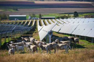 Solar exceeds coal for first time, as renewables set new records on Australia’s main grid