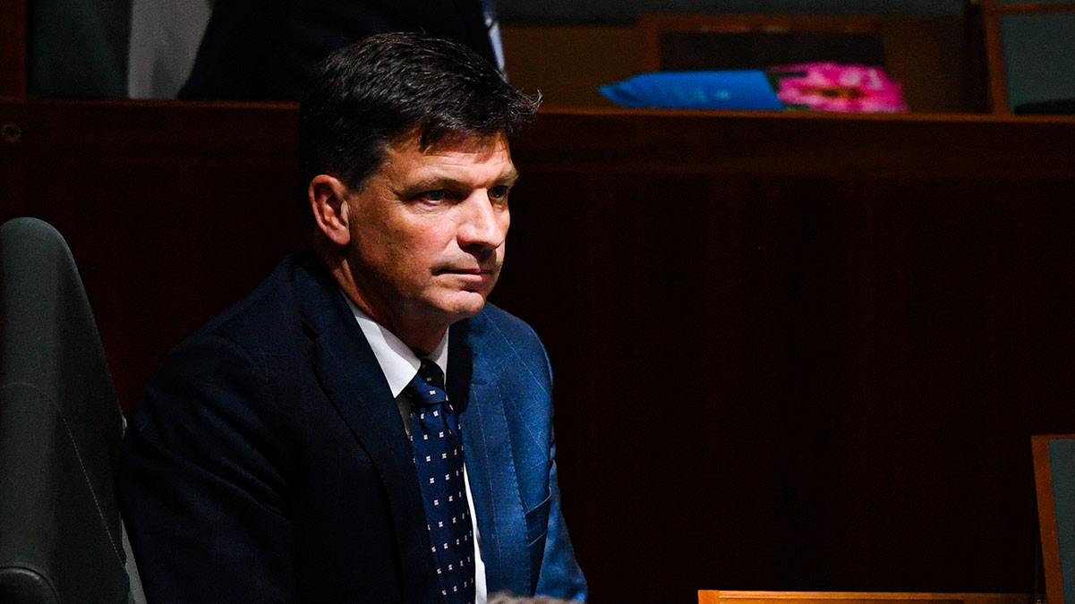 Federal energy minister Angus Taylor reacts during House of Representatives Question Time. (AAP Image/Lukas Coch).