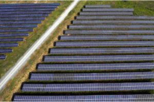 Shell’s Gangarri solar farm delivers “first glimmers” of output