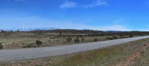 Wind project proposes turbine shut down system to protect wedge-tailed eagles