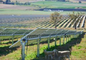 Australian solar farms set new output record in middle of winter – again