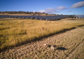 French energy giant EDF chases big solar play in Hunter Valley coal region