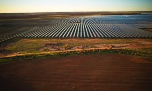 Solar nears 60pct of grid generation for first time, taking biggest bite yet out of coal’s lunch