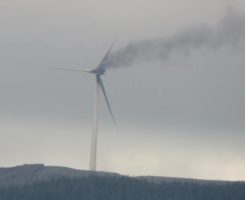 Vestas investigates turbine fire at New Zealand wind farm