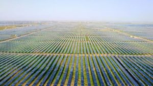 New solar installations to hit nearly 400GW this year as module prices hit new lows