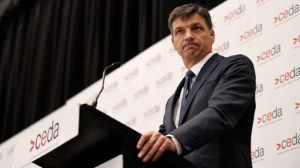 Taylor concedes key government policy was never intended to cut emissions