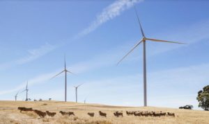 Greenleaf wins approval 166MW wind farm and battery project in Queensland