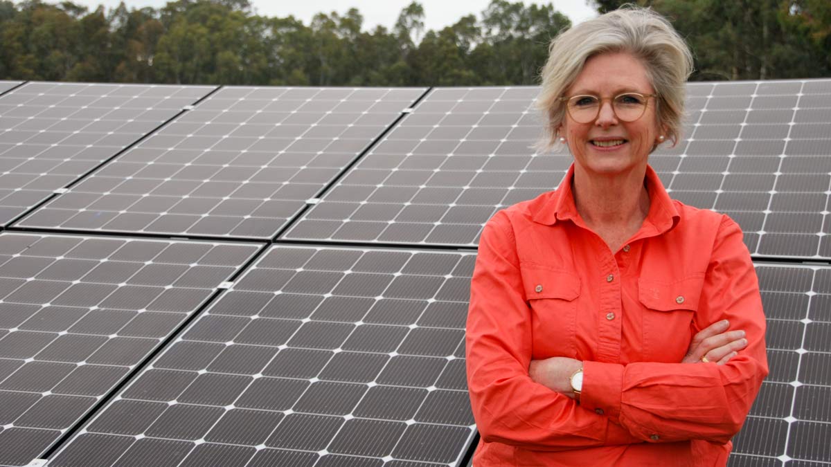 Independents want rooftop solar scheme to support two million home batteries - Vimarsana News