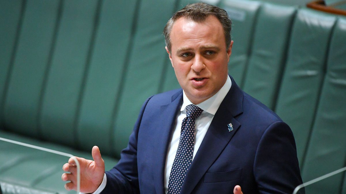 Tim Wilson addressing parliament in Canberra (AAP Image/Mick Tsikas).