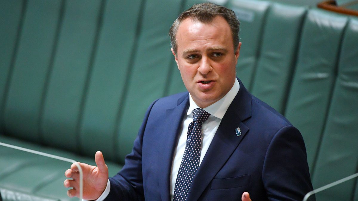 "We're not behind:" Tim Wilson's optimism on Australian EV uptake defies the evidence - Vimarsana News