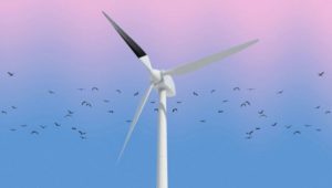 New study probes impact of blackened wind turbine blades