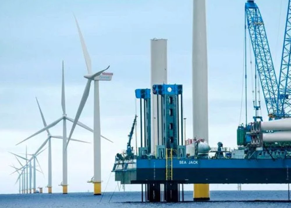 Australië kan de wereld leiden in offshore wind, maar de risico’s voor het leven in zee blijven slecht gereguleerd