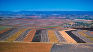 Labor resources minister’s support for Narrabri gas project labelled “disrespectful”