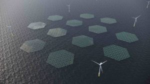SolarDuck to build offshore floating solar pilot as potential partner for offshore wind